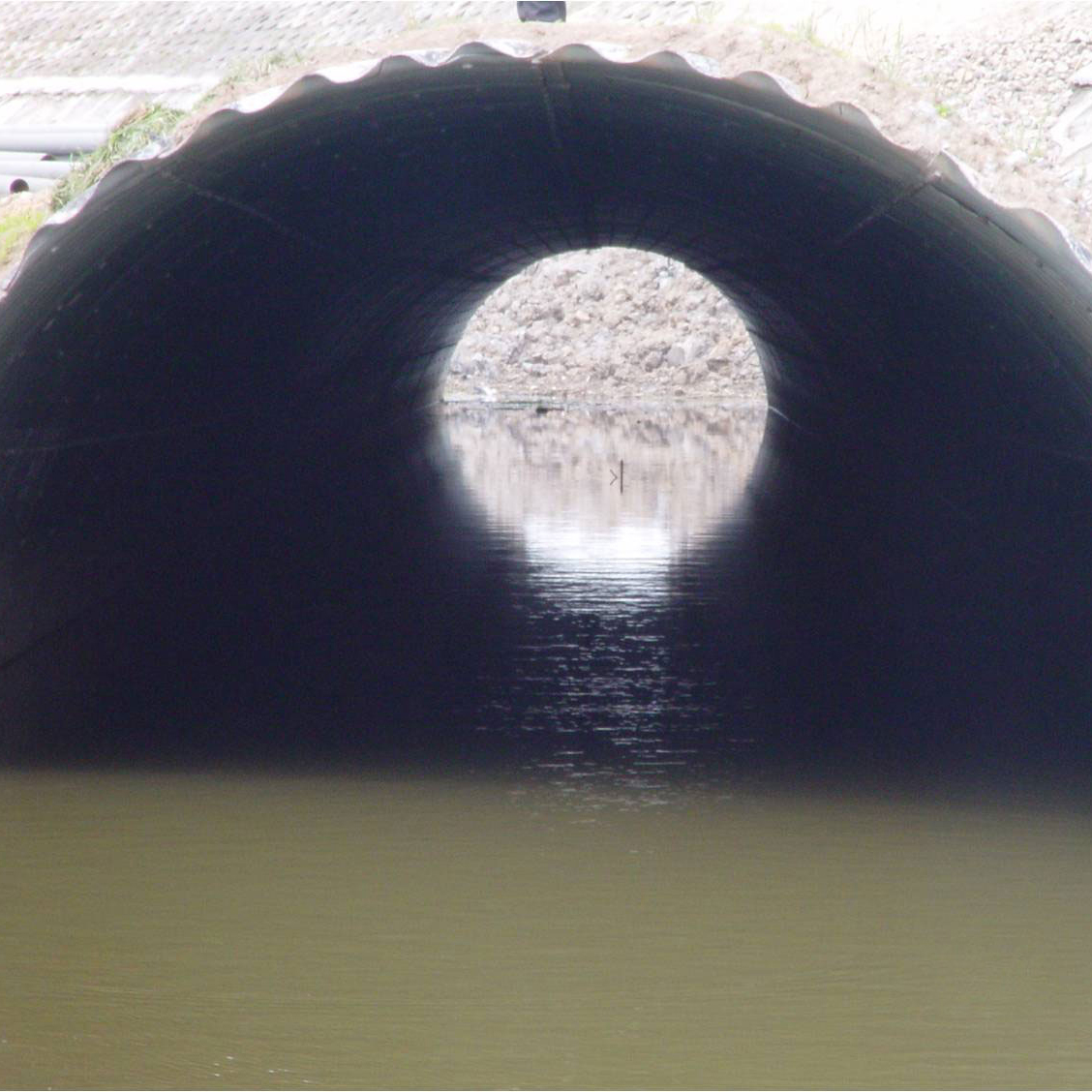 ����䓲��y��